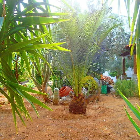 Assariya