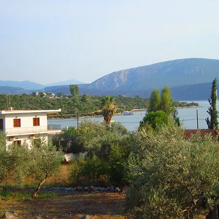 Assariya * Kórfos